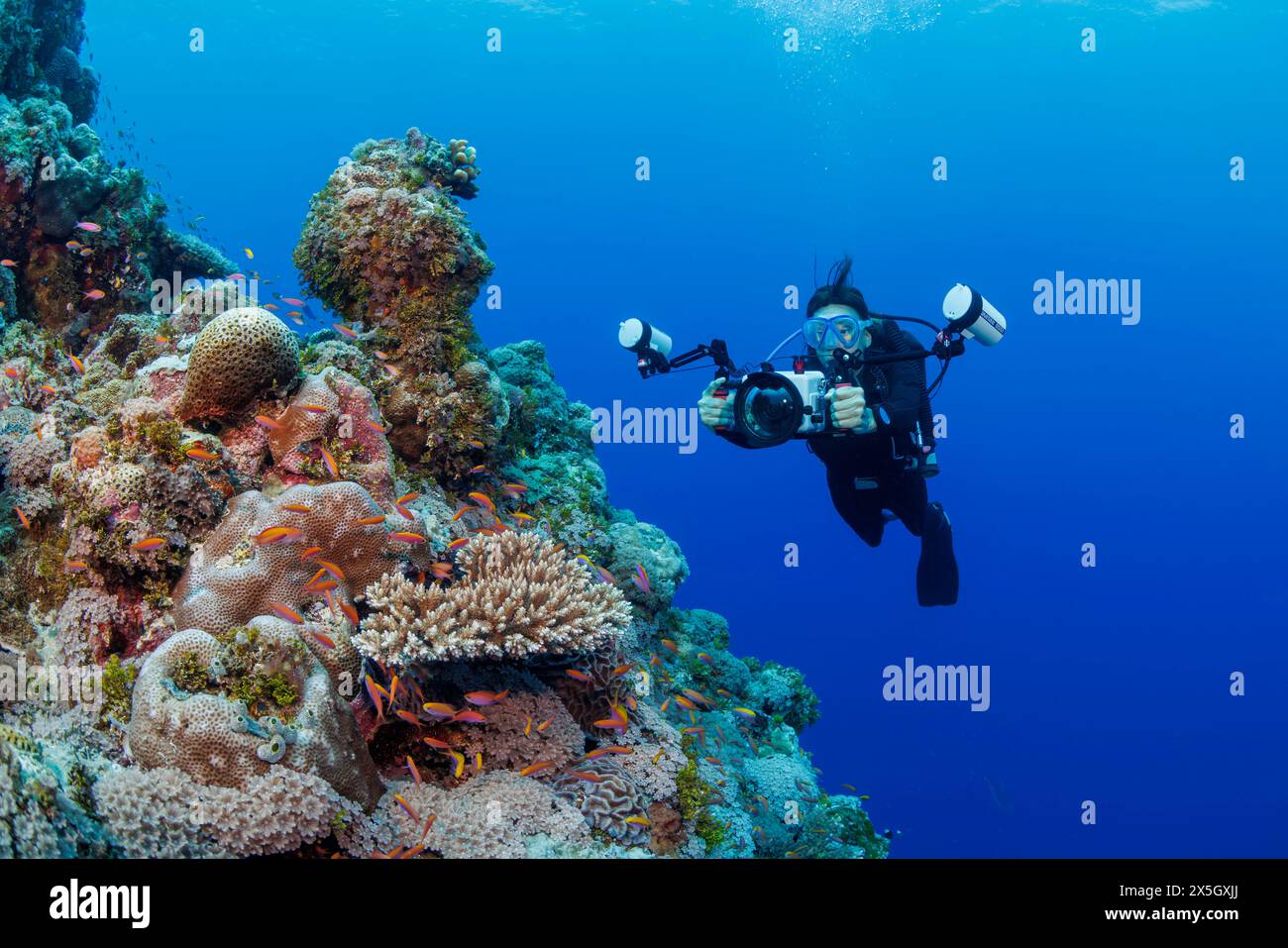 Un photographe (MR) s’aligne avec un reflex dans un logement sur un récif de corail au large de l’île de Yap, en Micronésie. Banque D'Images