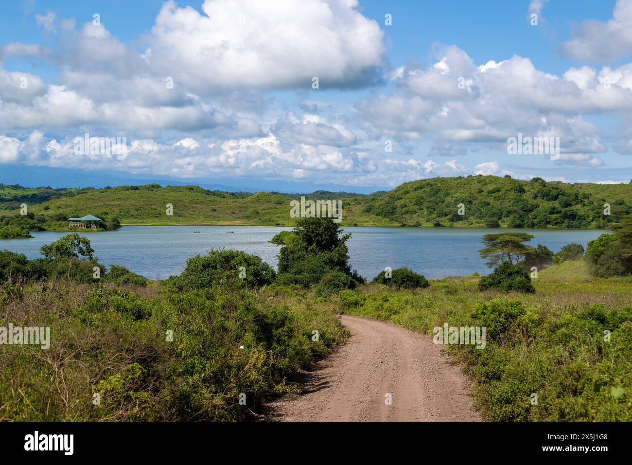 Safari Safari anläßlich einer Pressereise im Arusha Nationalpark en Tansania. Meru Arusha Tansania *** Safari Safari à l'occasion d'un voyage de presse au Parc national d'Arusha en Tanzanie Meru Arusha Tanzanie Copyright : argumx/xThomasxEinberger Banque D'Images