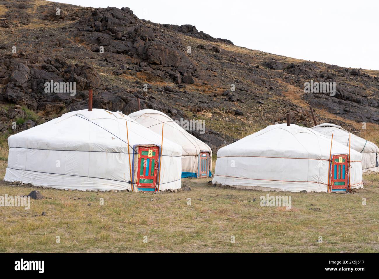 Asie, Mongolie, Province de Bayan-Olgii. Un groupe de Gers est niché près de l'éboulement rocheux. Banque D'Images