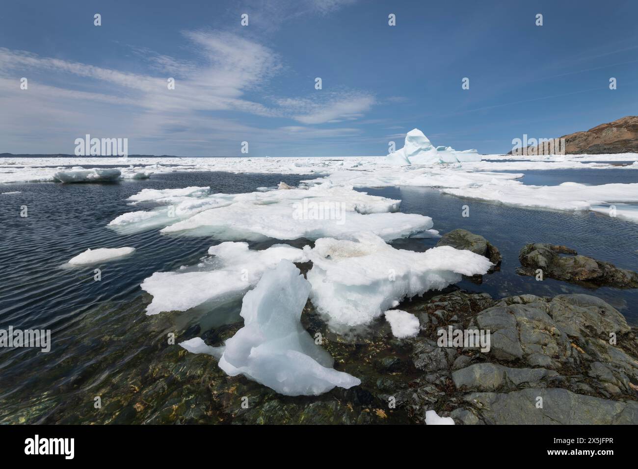 Icebergs et banquise à Twillingate, Terre-Neuve-et-Labrador, Canada. Banque D'Images