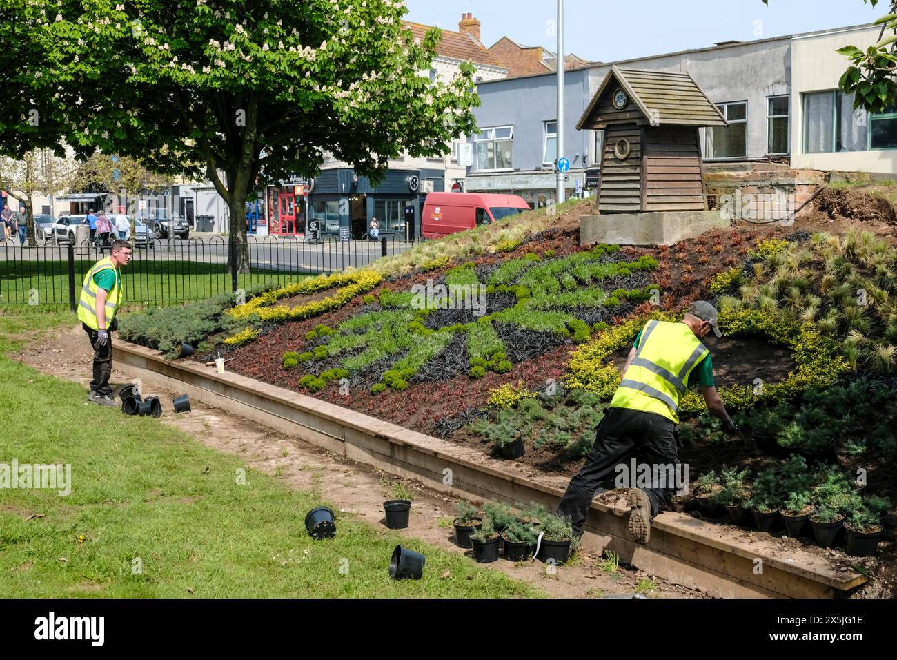 Weston-super-Mare, Royaume-Uni. 10 mai 2024. Monument balnéaire populaire retourné à l'ancienne gloire. Après avoir été bétonné en février car il était trop cher d'entretenir la célèbre horloge florale est en cours de restauration. Des arbustes à faible entretien sont plantés par des entrepreneurs du conseil. Crédit : JMF News/Alamy Live News Banque D'Images