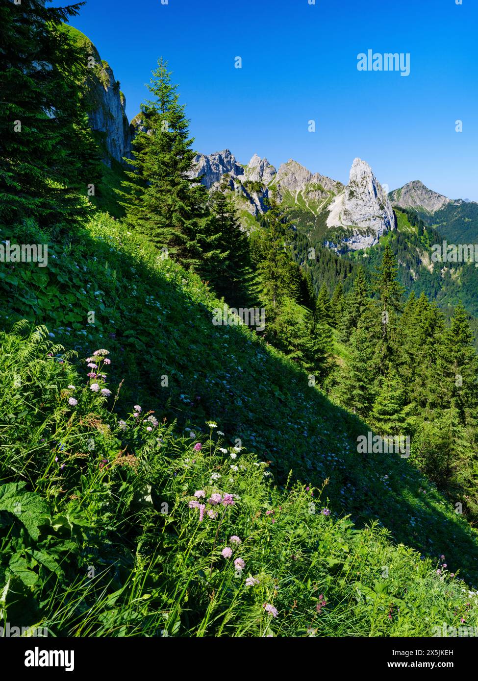 Vue vers Mt. Geiselstein. Parc naturel des Alpes d'Ammergau (Ammergau Alpen) dans les Alpes calcaires du Nord de la haute-Bavière, Allemagne. Banque D'Images