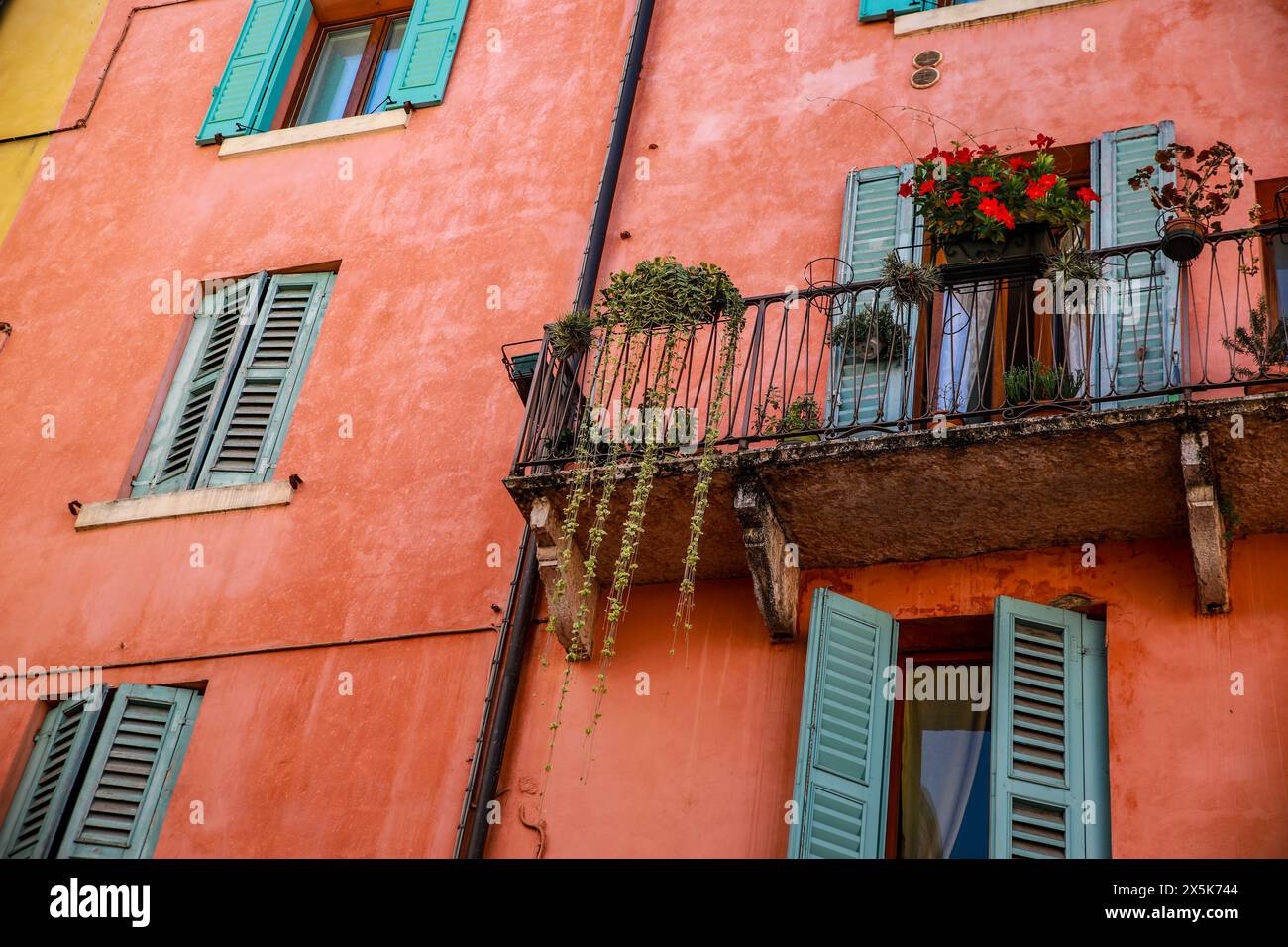 Vérone, Italie, Vénétie. Mur en terre cuite, volets bleus et balcon avec plantes et fleurs Banque D'Images