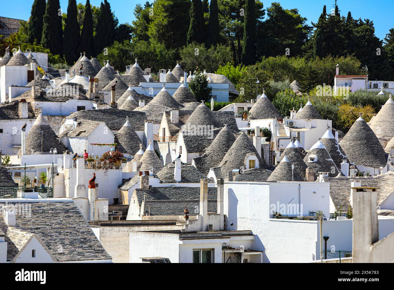 Alberobello, Italie, Bari. Maisons en trulli blanchies à la chaux et toits en pierre en forme de cône. (Usage éditorial uniquement) Banque D'Images