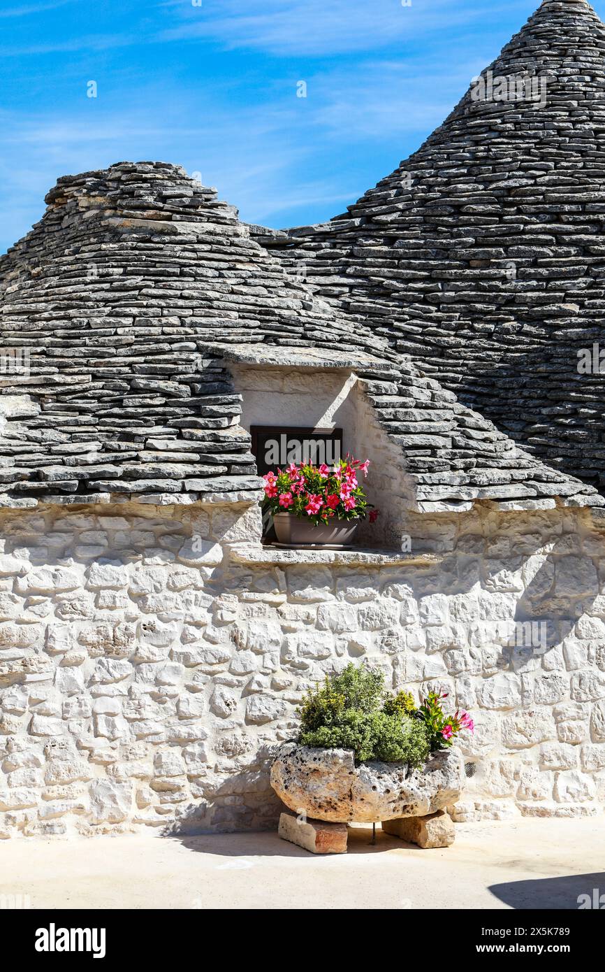 Alberobello, Italie, Bari. Maisons en trulli blanchies à la chaux et toits en pierre en forme de cône avec plantes en pot et fleurs. (Usage éditorial uniquement) Banque D'Images