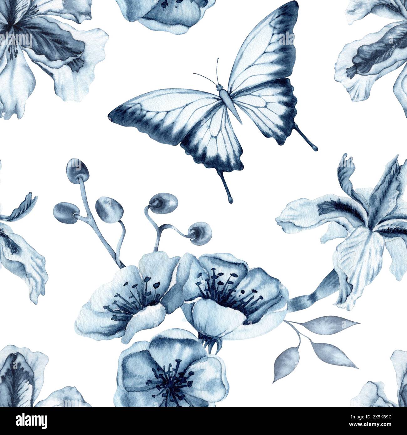 Motif floral monochrome sans couture avec des papillons. Fleurs d'iris indigo bleu avec fleurs de cerisier. Illustration d'aquarelle dessinée à la main isolée sur whi Banque D'Images