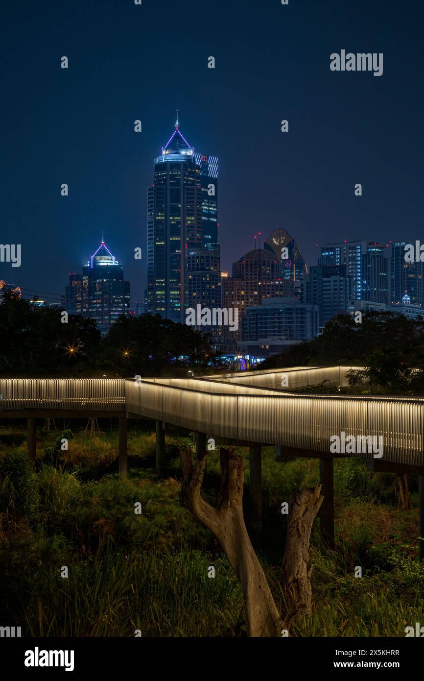 Gratte-ciel et autres bâtiments modernes derrière les allées surélevées et éclairées du luxuriant parc forestier de Benjakitti à Bangkok, Thaïlande la nuit. Banque D'Images