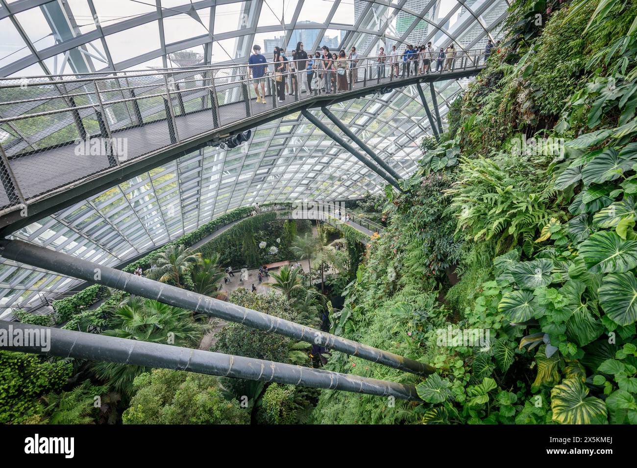 Jardins près de la baie, Singapour, toit et murs en verre, allées surélevées et plantes tropicales dans les jardins intérieurs. Banque D'Images