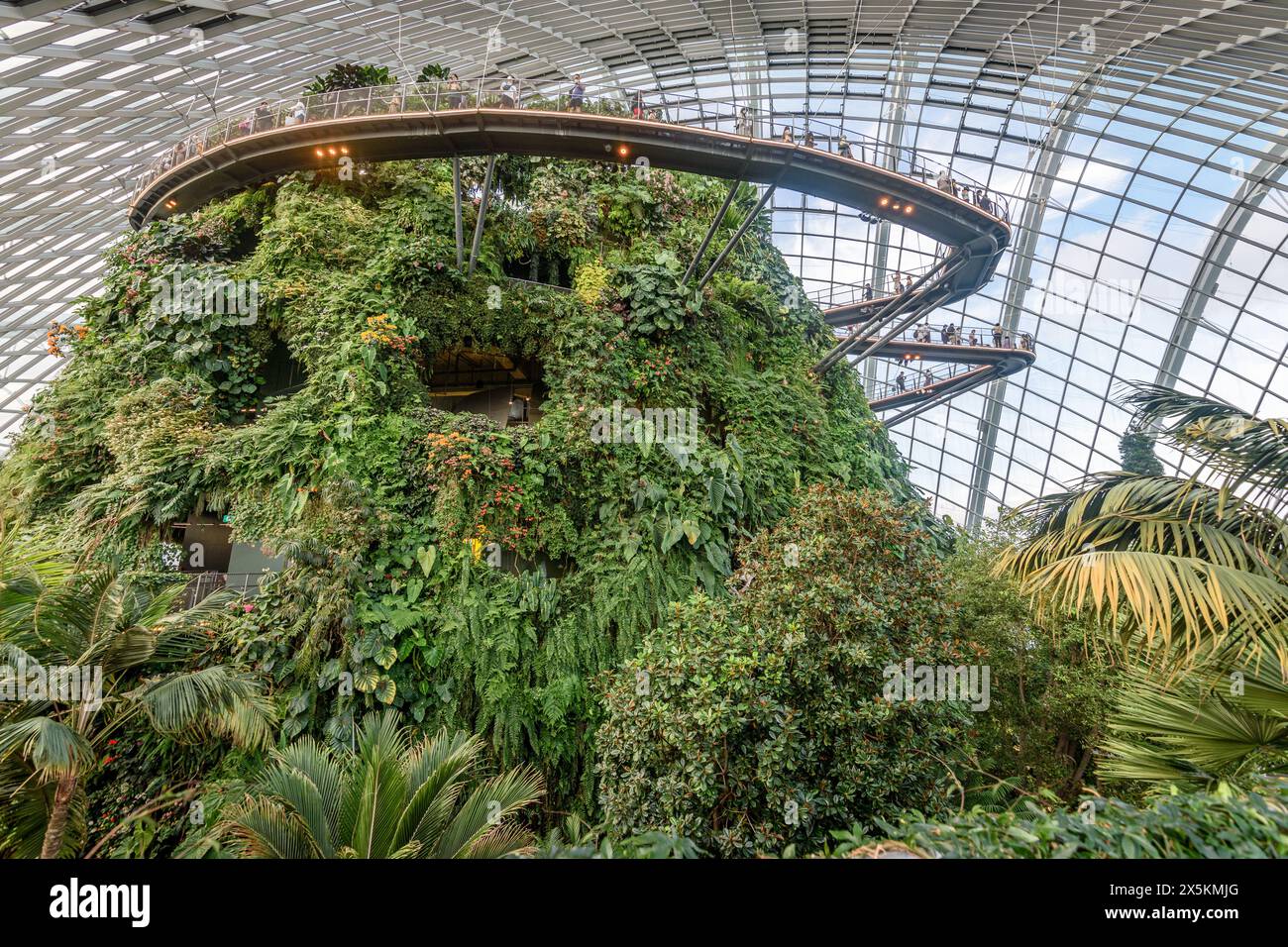 Jardins près de la baie, Singapour, toit et murs en verre, allées surélevées et plantes tropicales dans les jardins intérieurs. Banque D'Images