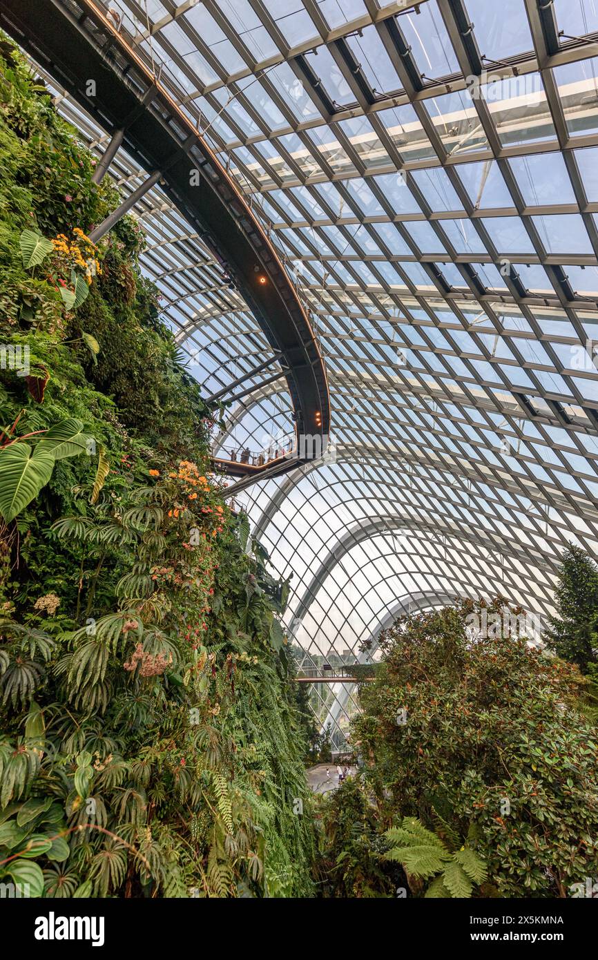 Jardins près de la baie, Singapour, panneaux de verre dans le toit et wat de promenade surélevé et plantes tropicales dans les jardins intérieurs. Banque D'Images