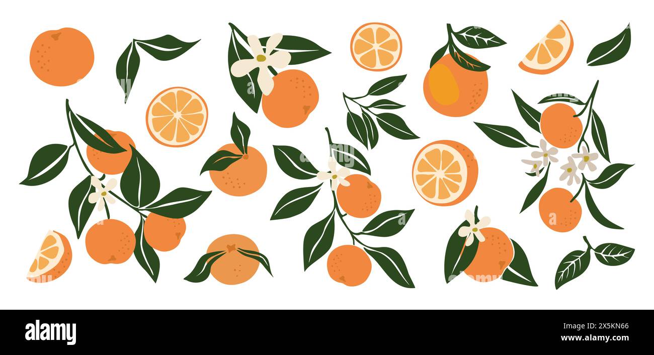 Ensemble abstrait d'agrumes oranges dessiné à la main. Illustration de Vecteur
