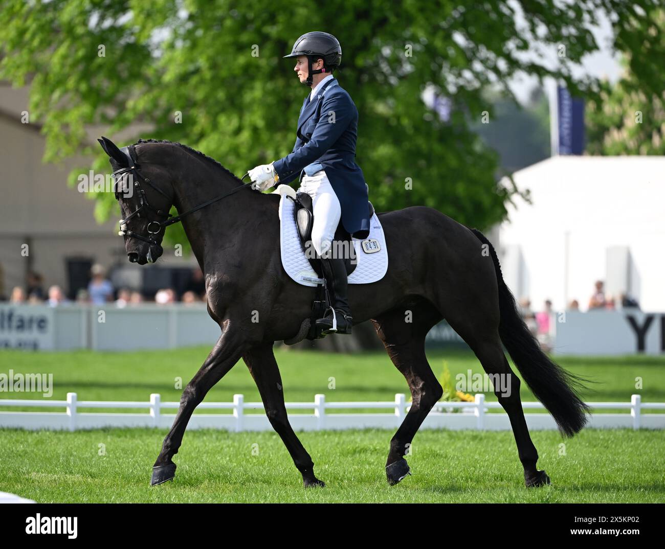 Badminton Estate, Gloucestershire, Royaume-Uni. 10 mai 2024. 2024 MARS Badminton Horse Trials jour 3 ; Francis Whittington (GBR) Riding DHI PURPLE RAIN pendant le dressage le jour 3 crédit : action plus Sports/Alamy Live News Banque D'Images