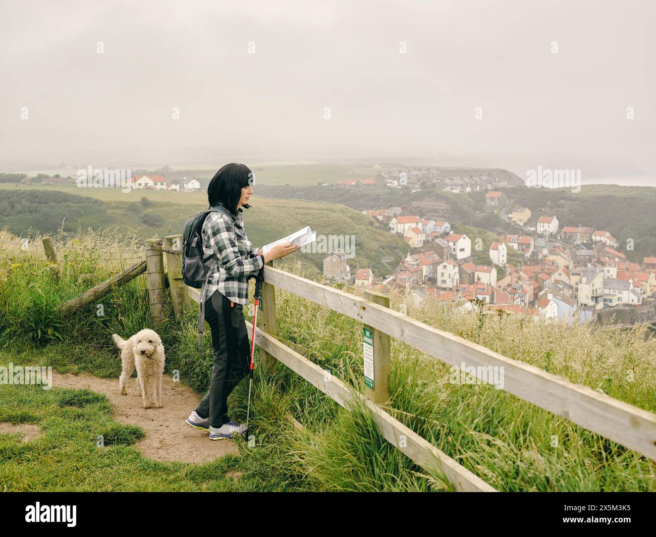 Royaume-Uni, randonneur féminin avec chien regardant la carte dans le paysage Banque D'Images