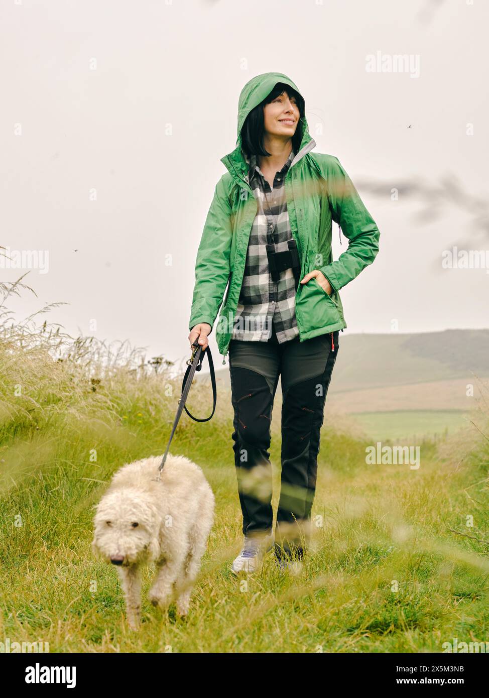 Royaume-Uni, femme randonnée avec chien dans un champ herbeux Banque D'Images