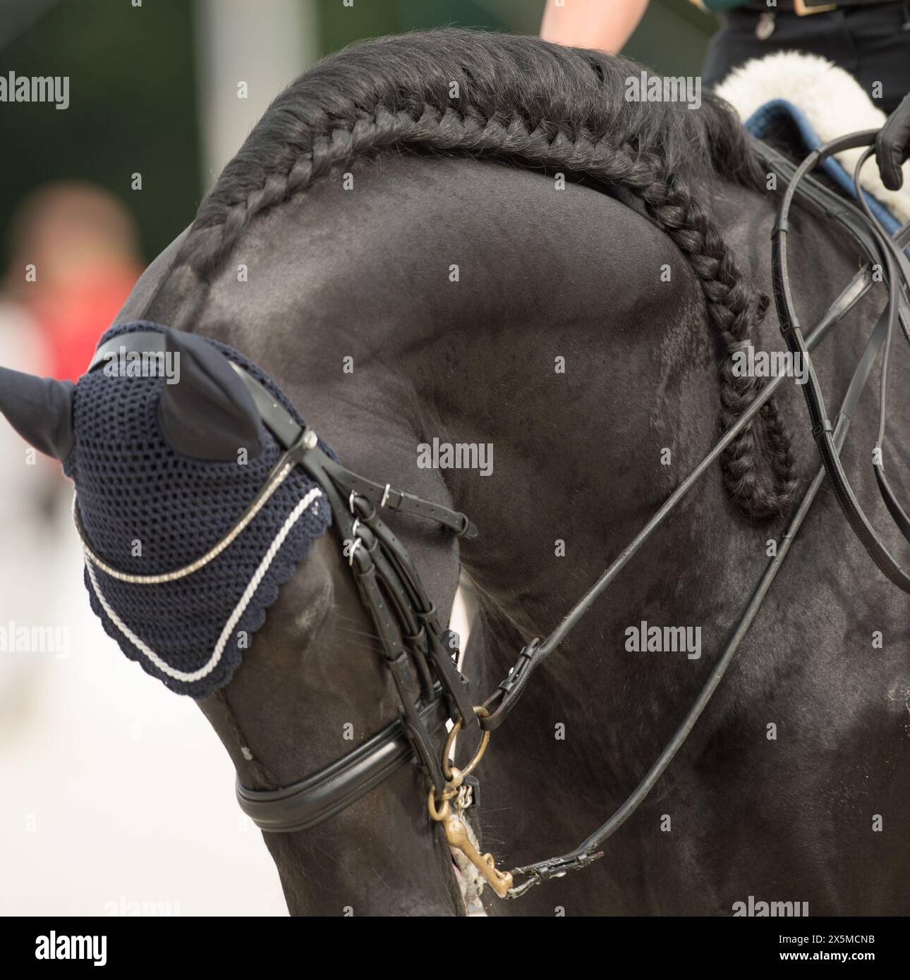 Bride De Saut En Cuir Avec Rênes Tressées - Alfalah International - Neuf