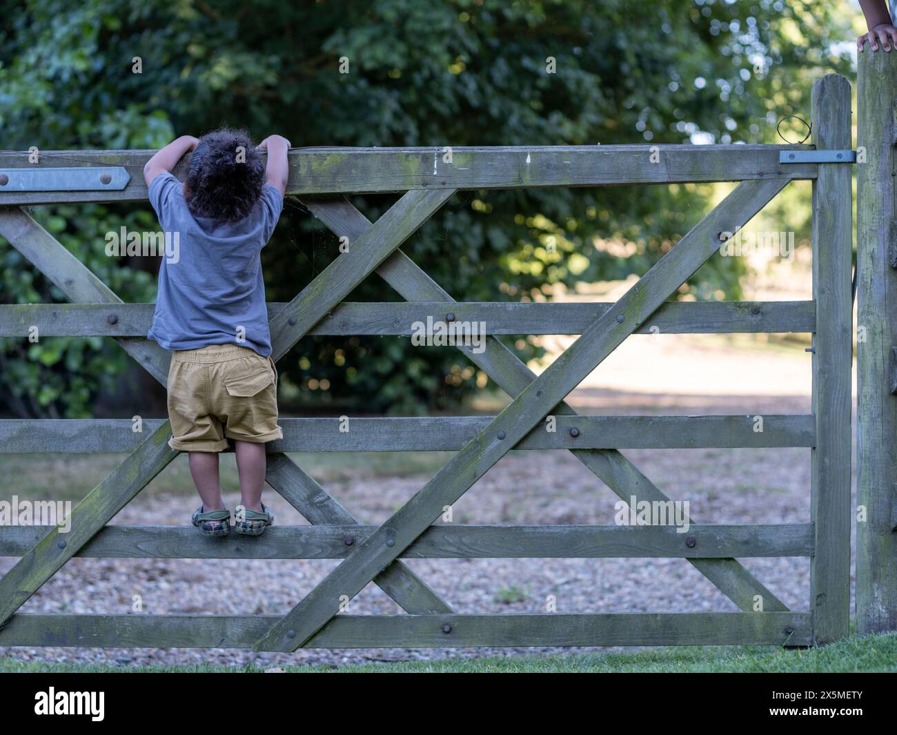Garçon (2-3) grimpant à la clôture Banque D'Images