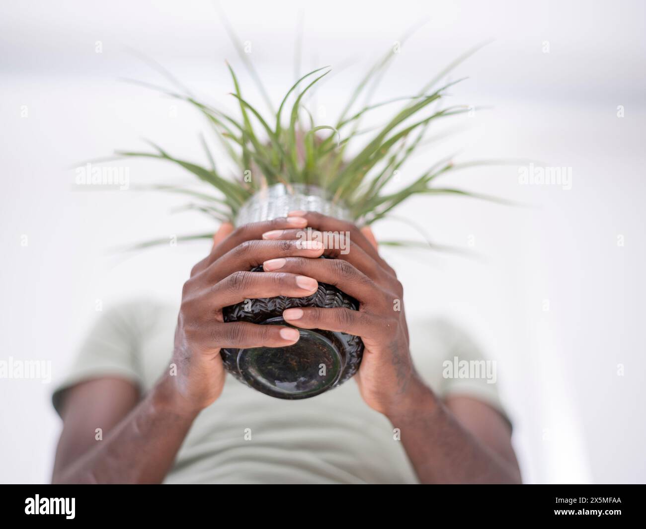 Vue à angle bas d'une personne tenant une plante en pot Banque D'Images