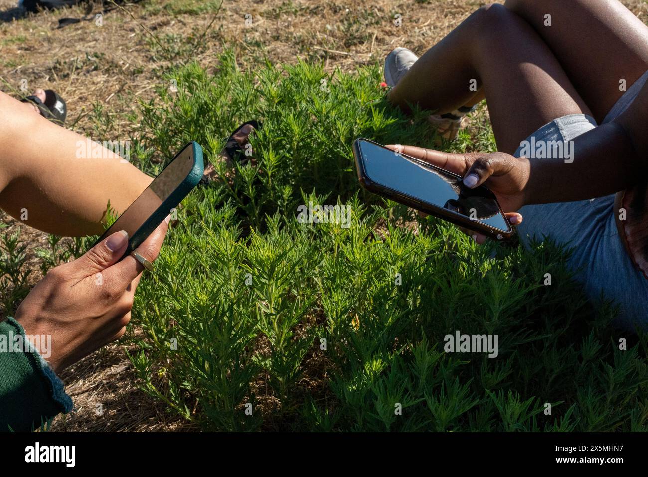 Jeunes femmes utilisant des téléphones intelligents Banque D'Images