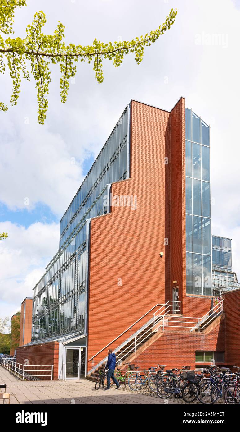 History Building, Université de Cambridge, Sidgwick site, Angleterre. Banque D'Images