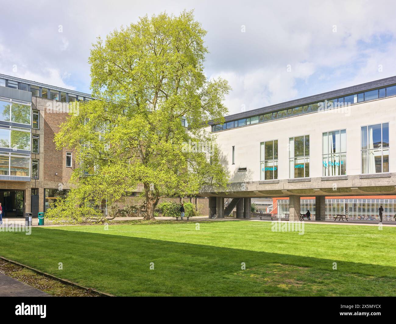 Printemps dans la cour du bâtiment relevé, Université de Cambridge, Sidgwick site, Angleterre. Banque D'Images