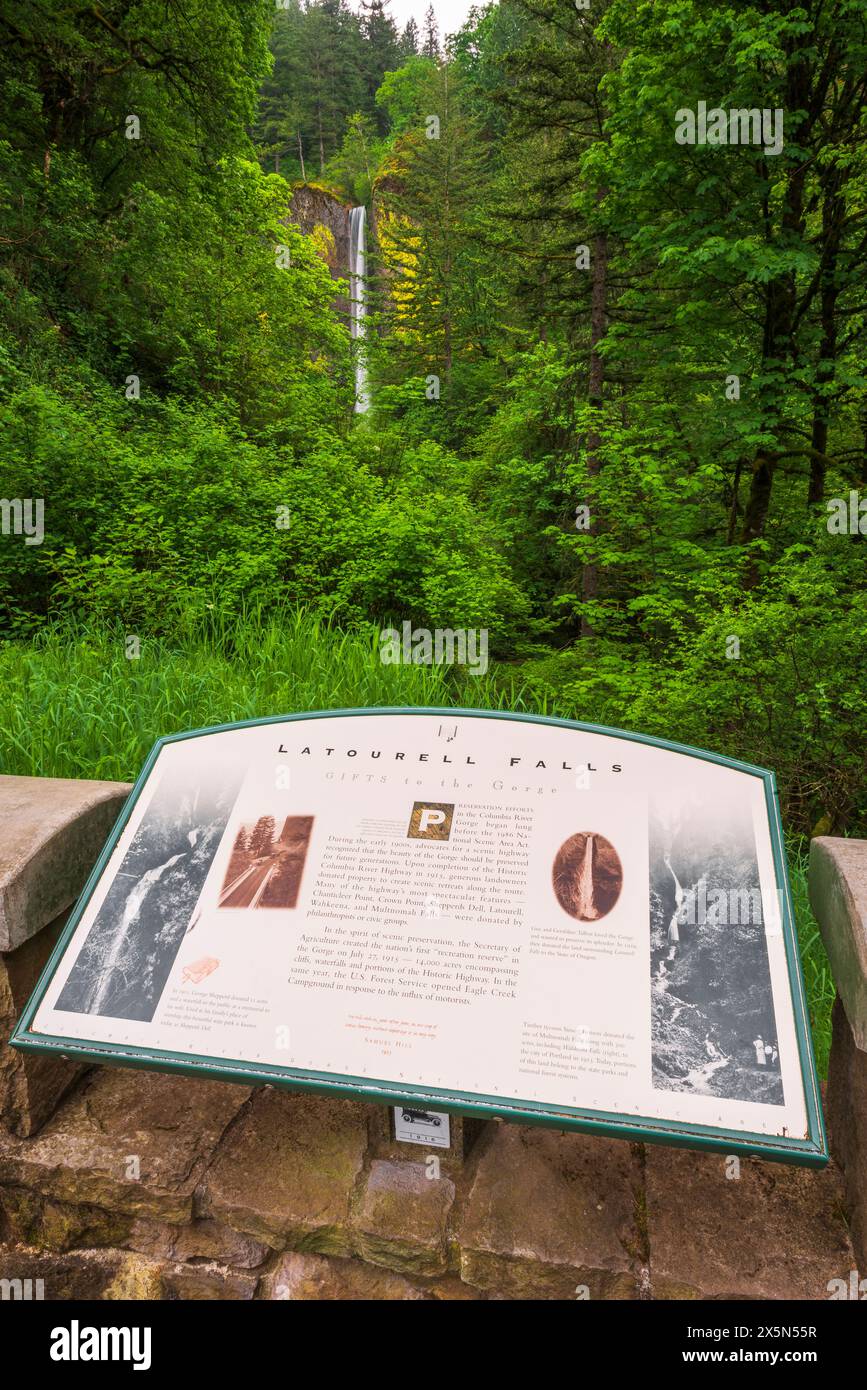 Panneau d'interprétation à Latourell Falls, Columbia River gorge National Scenic Area, Oregon, États-Unis Banque D'Images