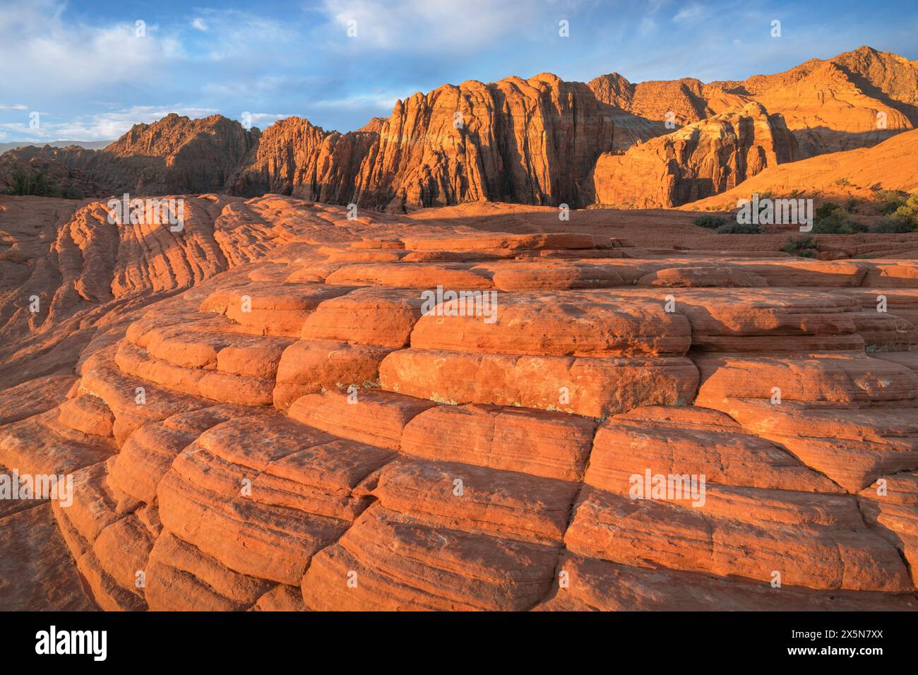 Lever du soleil sur les formations de slickrock Petrified Dunes, parc national de Snow Canyon, Utah. Banque D'Images