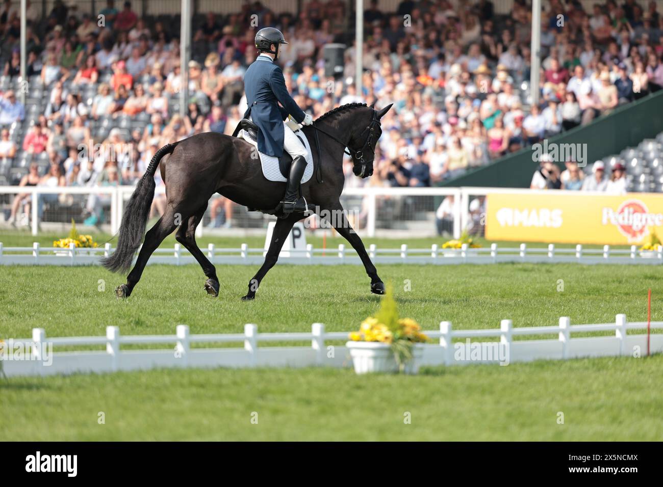 Badminton, Royaume-Uni. 10 mai 2024. Francis Whittington de Grande-Bretagne avec Dhi Purple Rain lors du test de dressage au Badminton Horse Trials le 10 mai 2024, Badminton Estate, Royaume-Uni (photo de Maxime David - MXIMD Pictures) crédit : MXIMD Pictures/Alamy Live News Banque D'Images