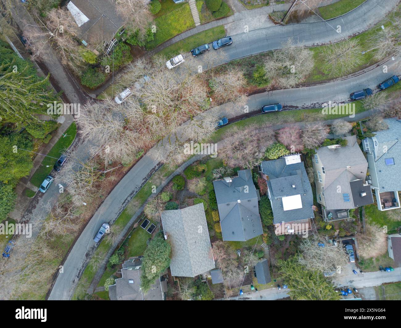 Drone vue de Ravenna Boulevard, Seattle, État de Washington, États-Unis Banque D'Images