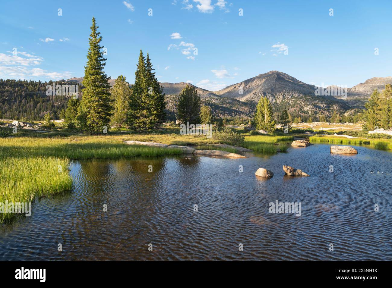 Étang subalpin Bridger Wilderness, Wind River Range, Wyoming. Banque D'Images