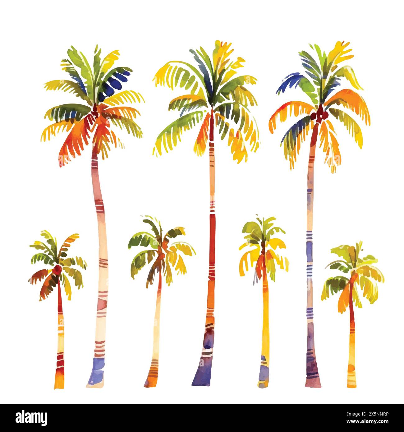Collection de palmiers tropicaux dans un style aquarelle rangée. Coloré. Vecteur, dessiné à la main. Illustration de Vecteur