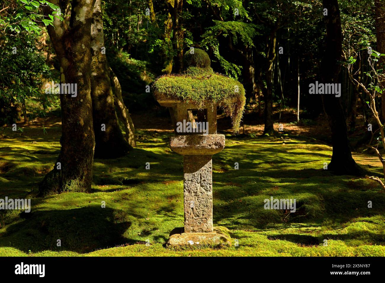 Une vieille lanterne en pierre placée dans un jardin japonais recouvert de mousse Banque D'Images