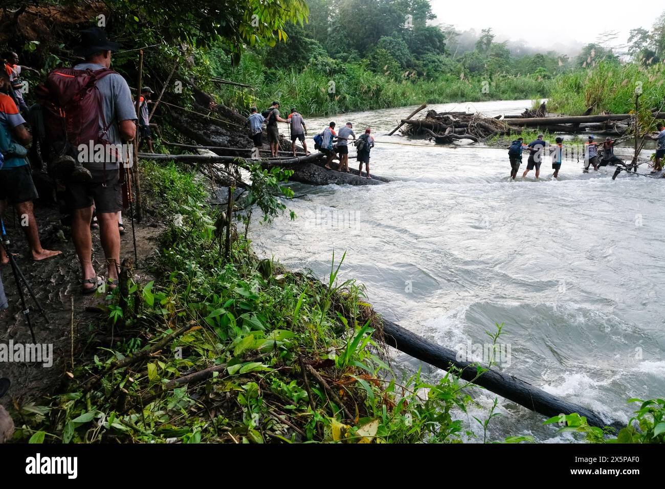 Randonneurs faisant une traversée de la rivière sur la piste de Kokoda, Papouasie-Nouvelle-Guinée Banque D'Images