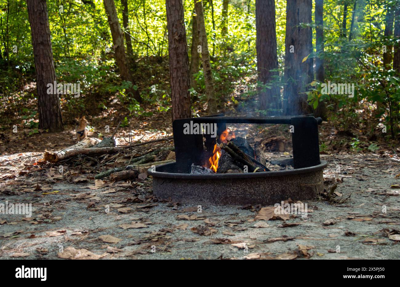 Un petit flambeau danse dans un foyer un jour d'automne frais dans le bel état de l'Arkansas. Des arbres légèrement défocalisés dans le dos dépeignent la sérénité Banque D'Images