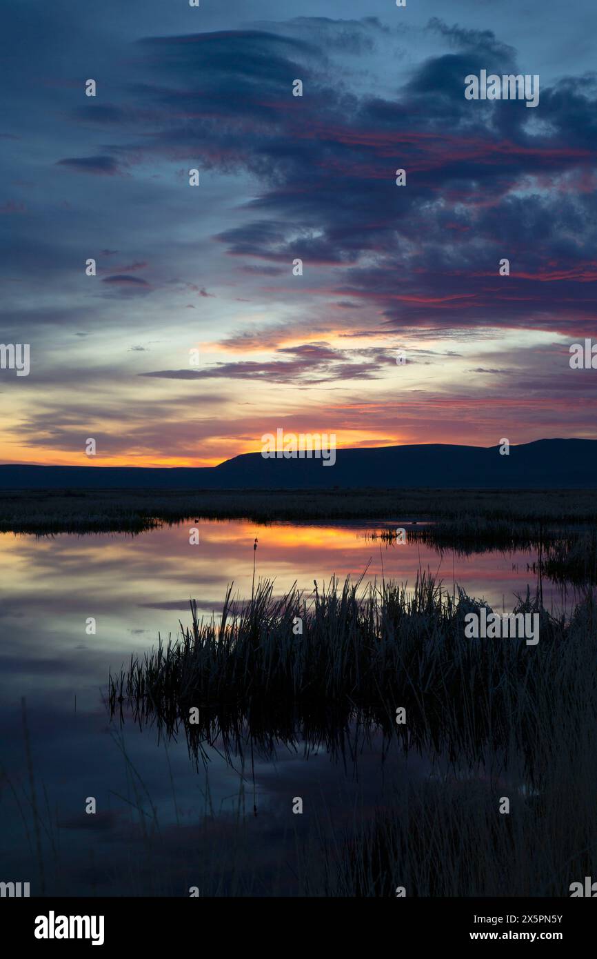 Marsh Sunrise, réserve naturelle de Summer Lake, Oregon Outback Scenic Byway, Oregon Banque D'Images