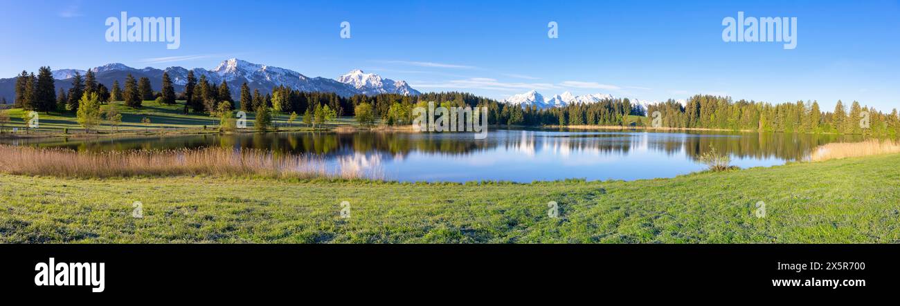 Hegratsrieder voir près de Fuessen, Alpes Allgaeu, neige, panorama, Allgaeu, Bavière, Allemagne Banque D'Images