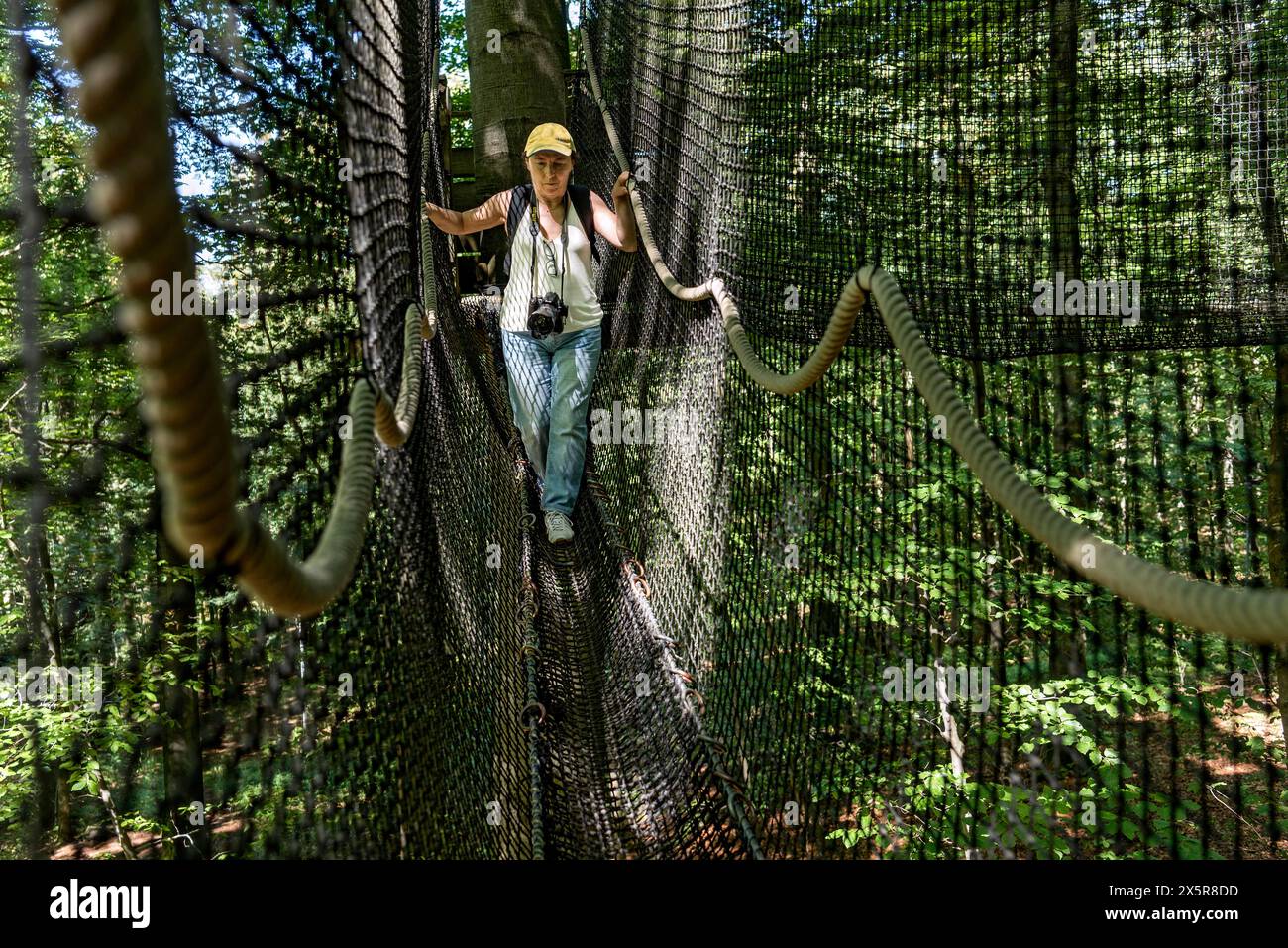 Femme sportive, touriste avec caméra dans le sentier de cime des arbres, ponts suspendus, cordes, filets, forêt de hêtres, excursion, sommet montagne Hoherodskopf, tertiaire Banque D'Images
