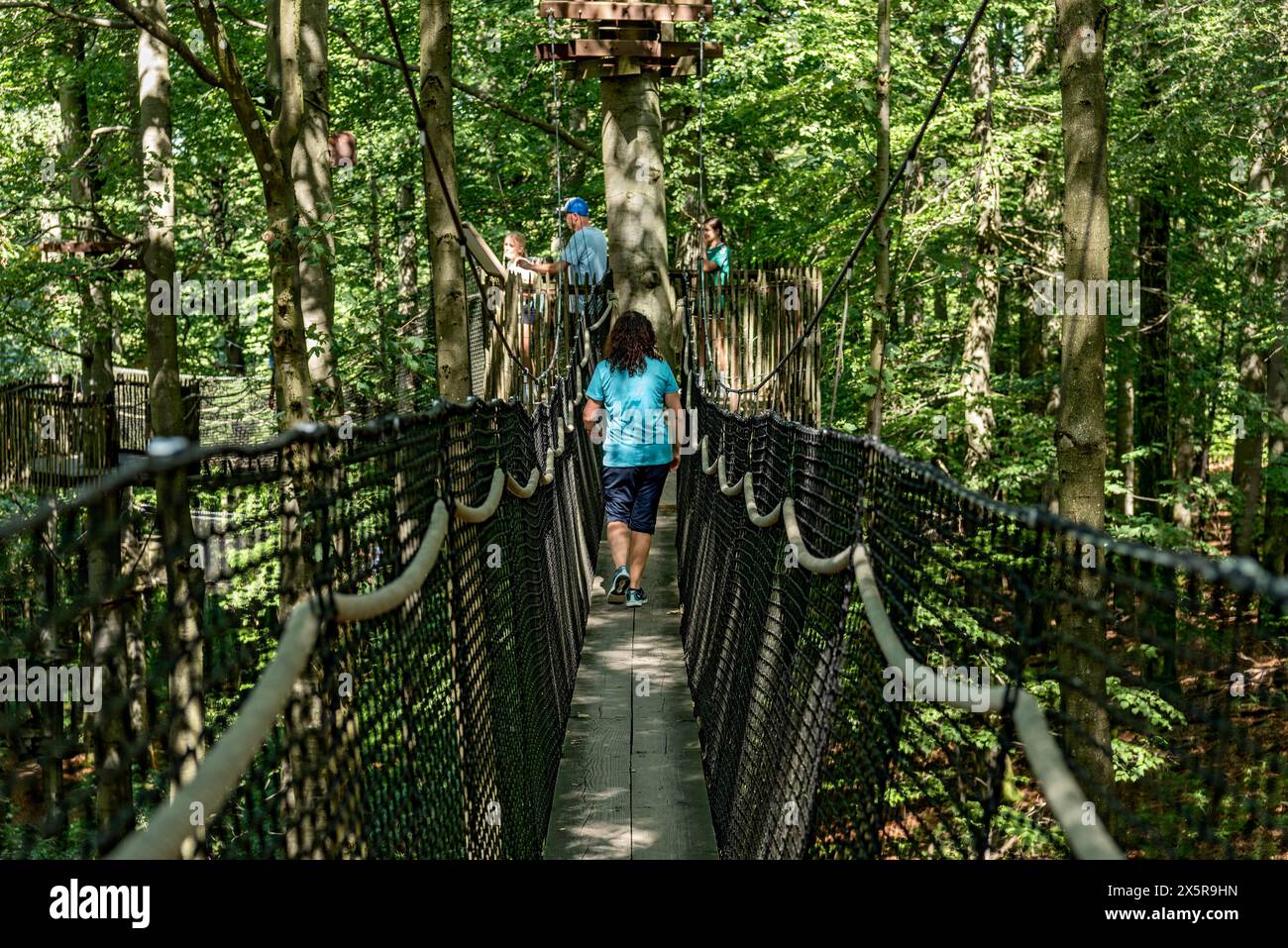 Femme sportive, touriste dans le sentier de cime des arbres, ponts suspendus, cordes, filets, forêt de hêtres, excursion en famille, sommet de la montagne Hoherodskopf, tertiaire Banque D'Images