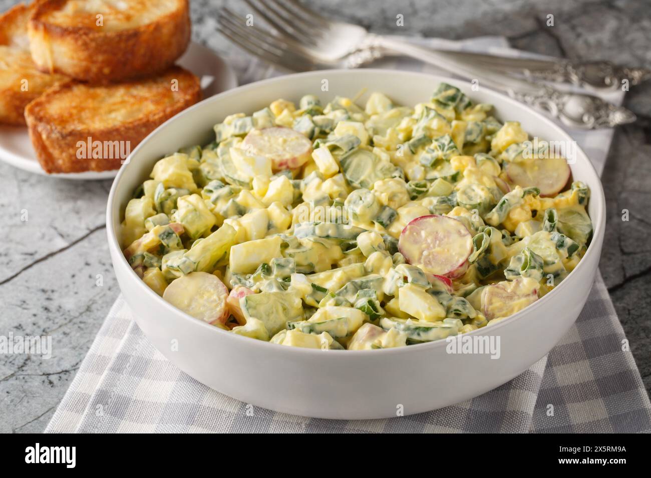 Salade d'œufs avec radis, oignons verts et concombre habillé de mayonnaise gros plan dans un bol sur la table. Horizontal Banque D'Images
