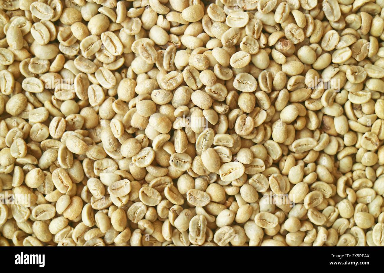 Vue de dessus d'une pile de grains de café parchemin Banque D'Images