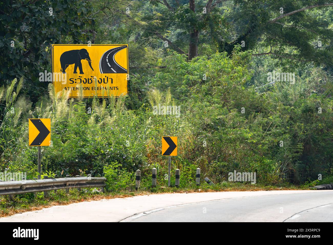 Panneau de signalisation métallique attention éléphants traversant texte attention éléphant traversant la campagne thaïlandaise jour ensoleillé Banque D'Images