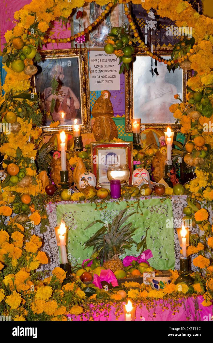 Oaxaca ; Mexique. Célébrations du jour des morts. Autel aux ancêtres de la famille, recouvert de Marigolds, la fleur traditionnellement utilisée pour honorer les morts. Banque D'Images