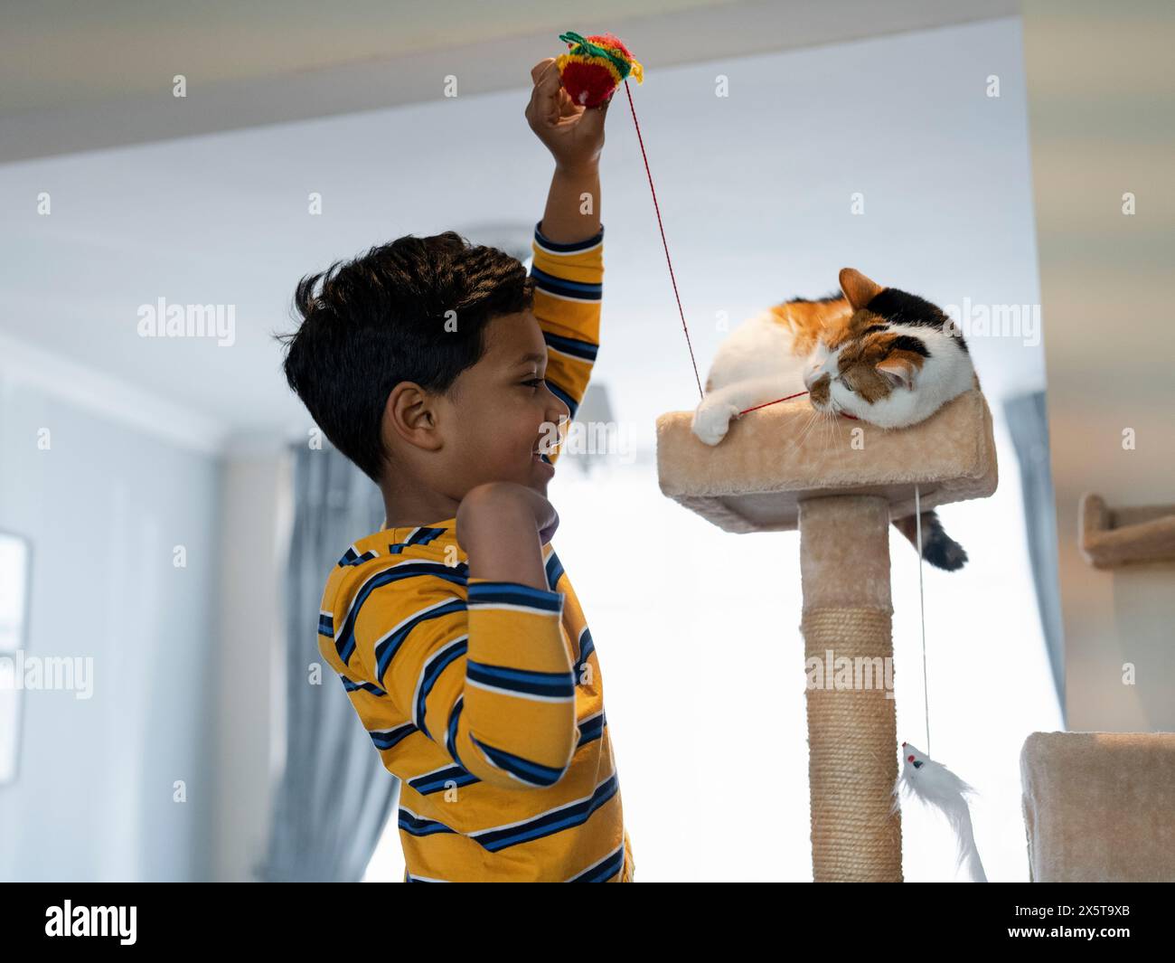 Garçon et chat jouant avec la balle de laine à la maison Banque D'Images