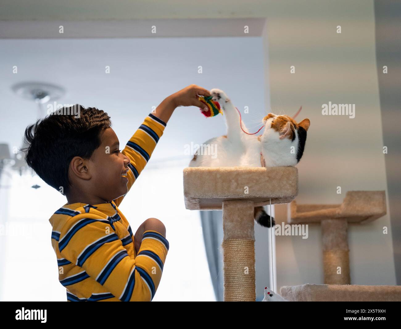 Garçon et chat jouant avec la balle de laine à la maison Banque D'Images