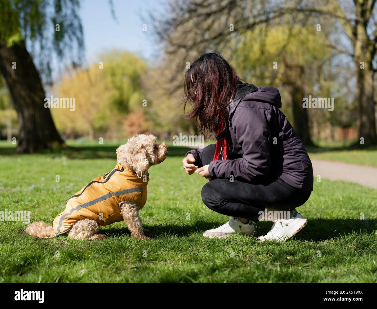 Femme dressant le chien pour s'asseoir dans le parc Banque D'Images