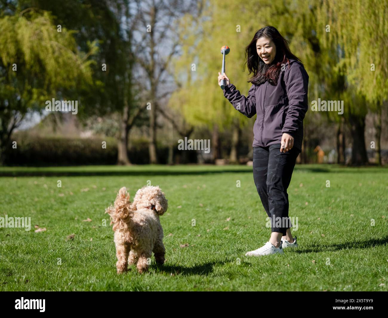 Femme jouant avec le chien dans le parc le jour ensoleillé Banque D'Images