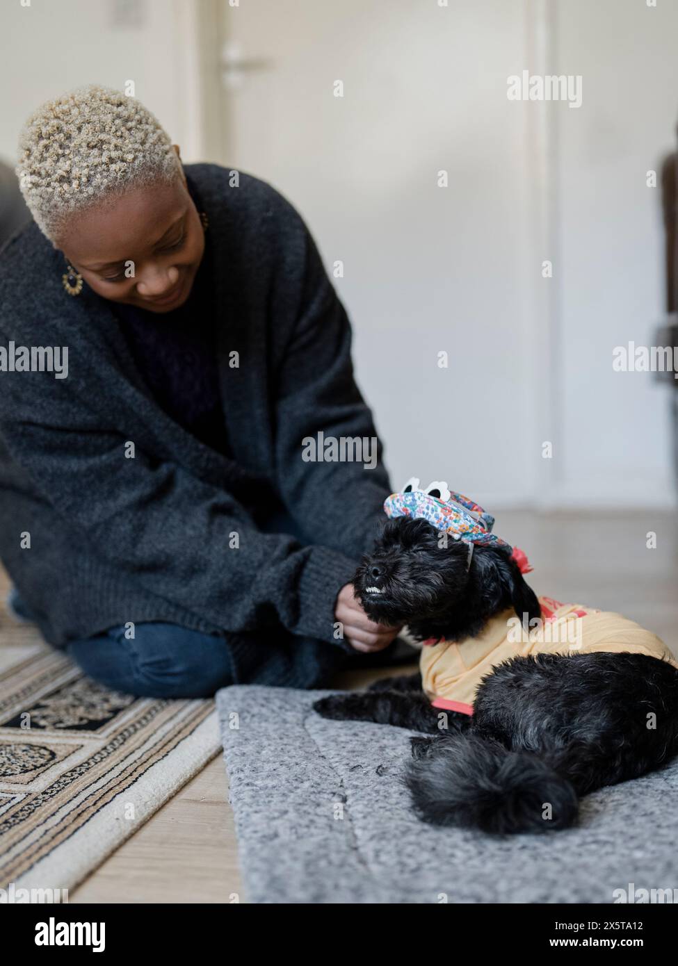 Femme habillant Shih Tzu Poodle à la maison Banque D'Images