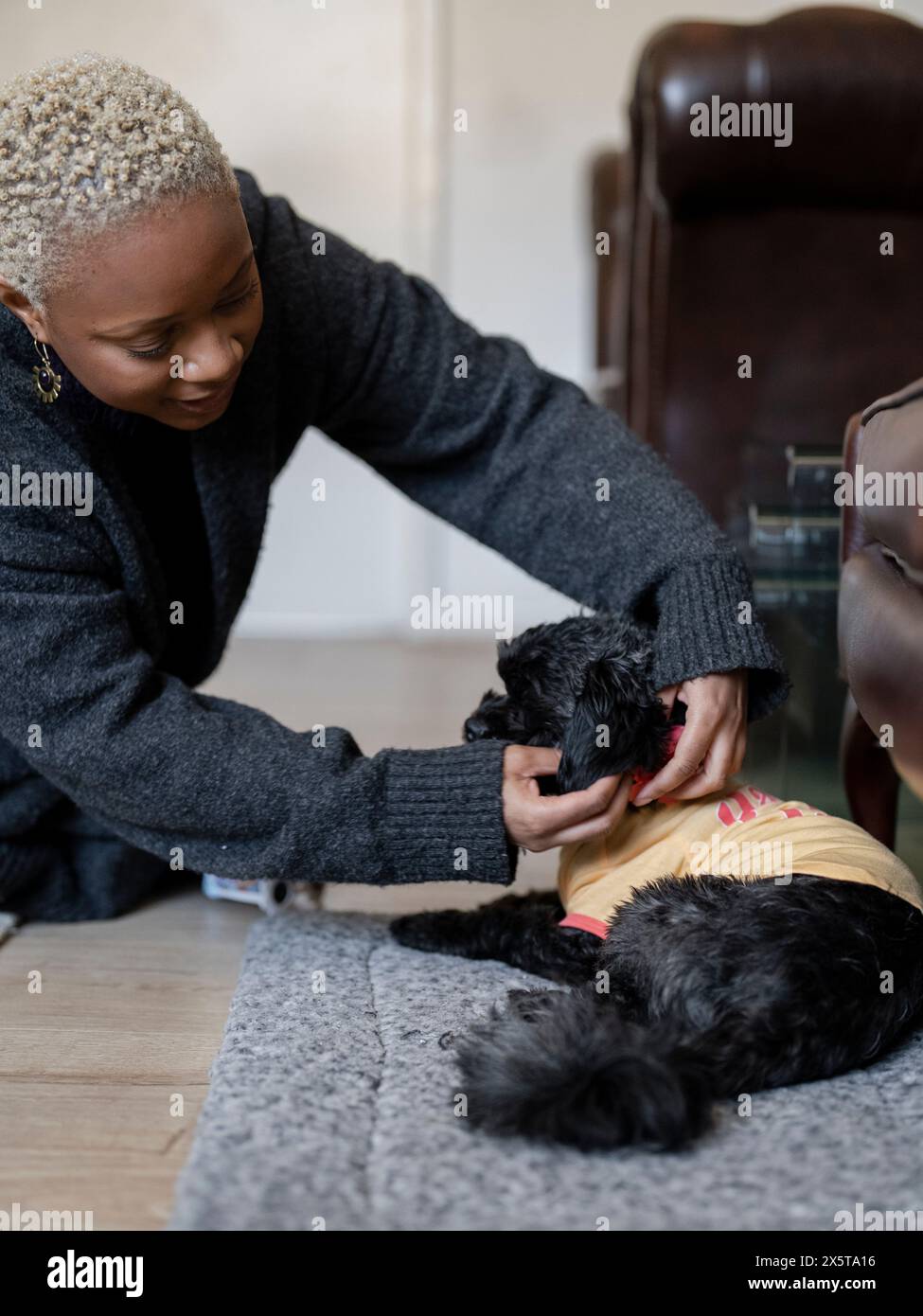Femme habillant Shih Tzu Poodle à la maison Banque D'Images
