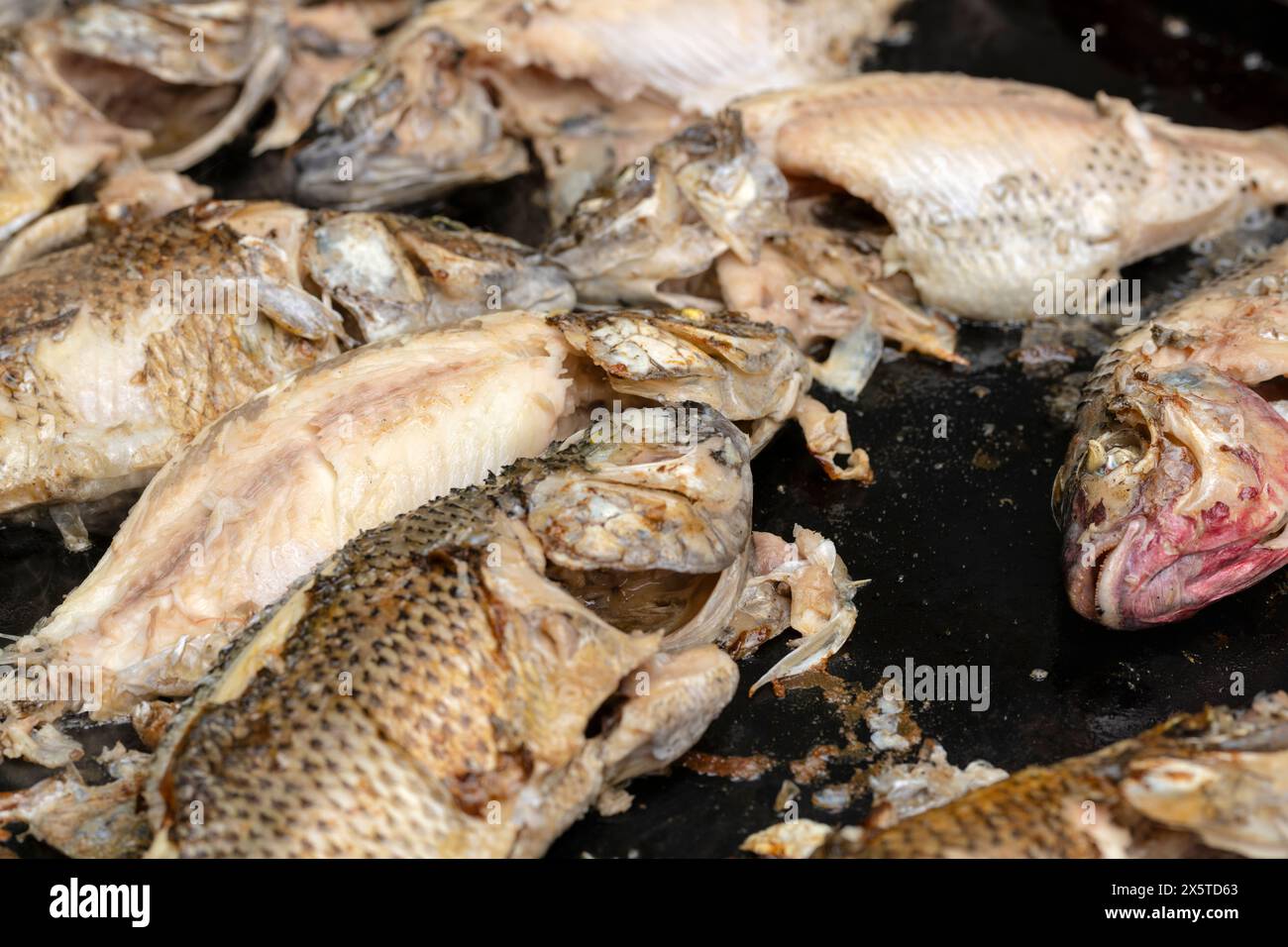 Frire le poisson entier tilapia sur le gril noir. Restauration pour un concept de fête. Banque D'Images