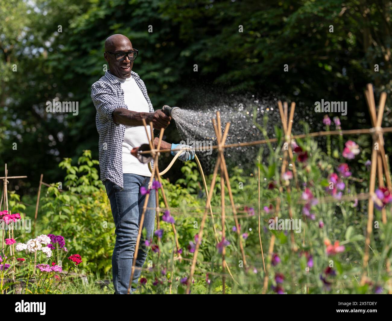 Homme mature souriant arrosant les plantes dans le jardin Banque D'Images