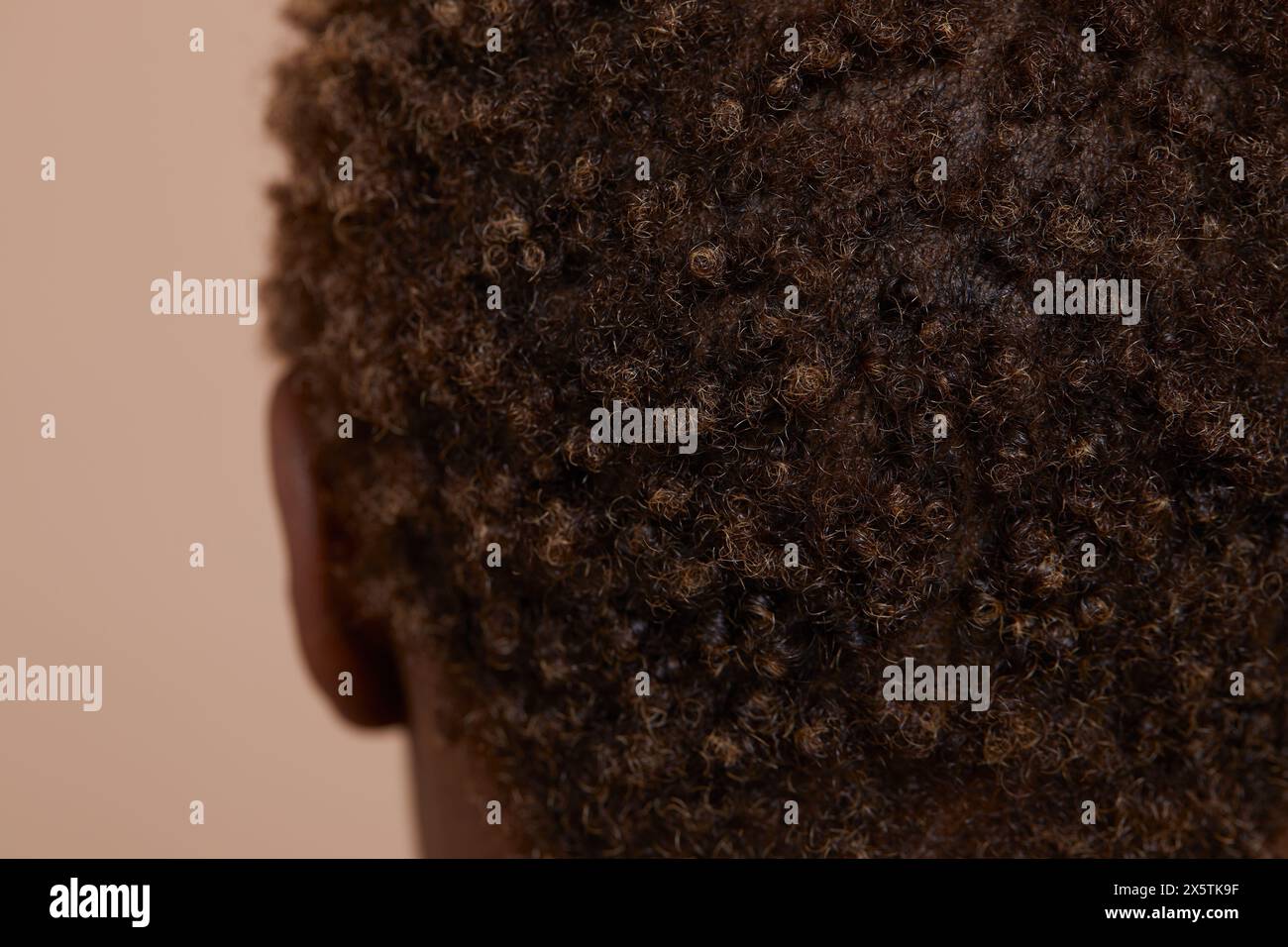 Gros plan sur les cheveux bouclés courts pour femmes Banque D'Images